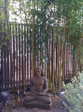 Yogananda in the garden